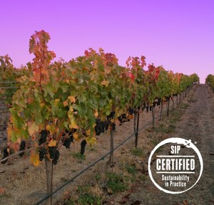 Sustainability in Practice Certified