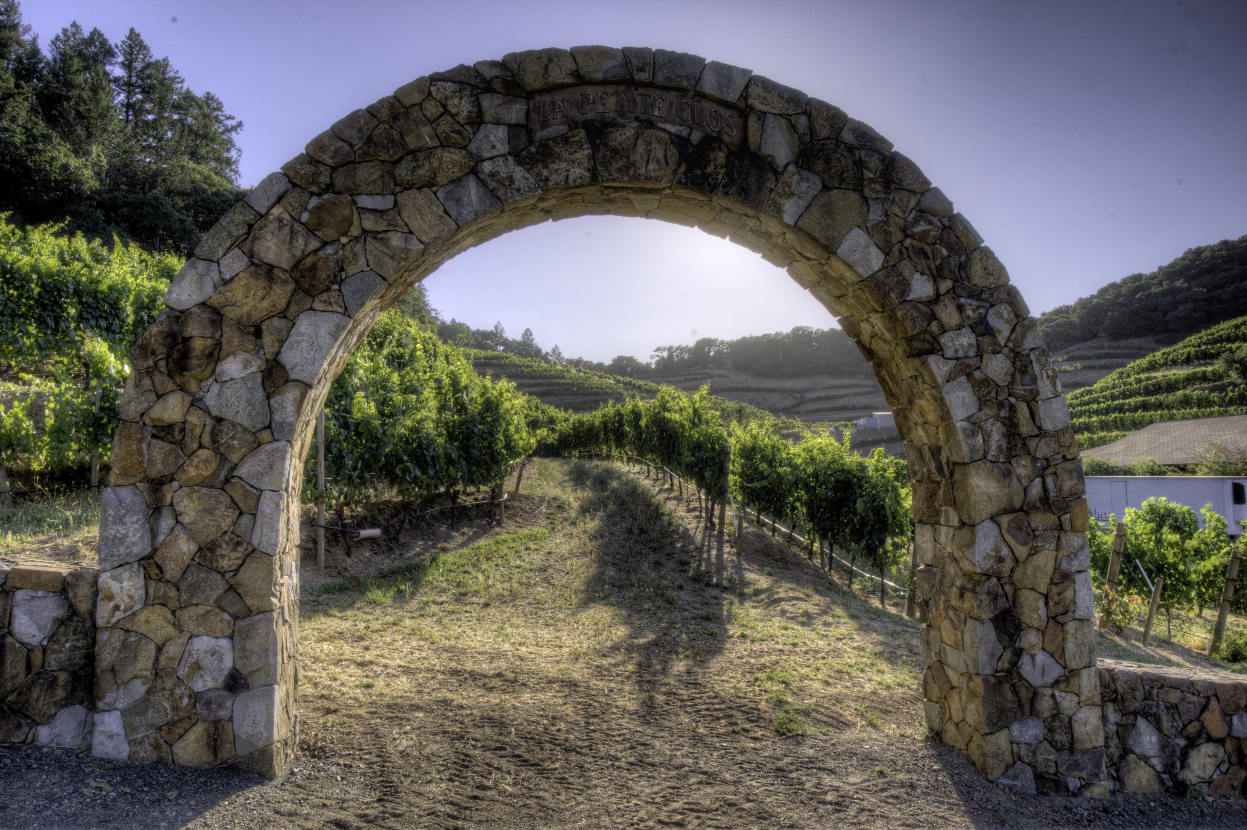 Le Petit Clos Pine Ridge Vineyard